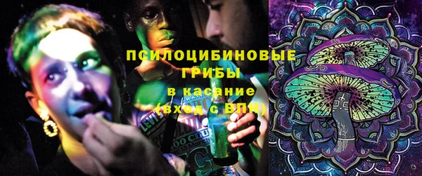 гашик Белокуриха