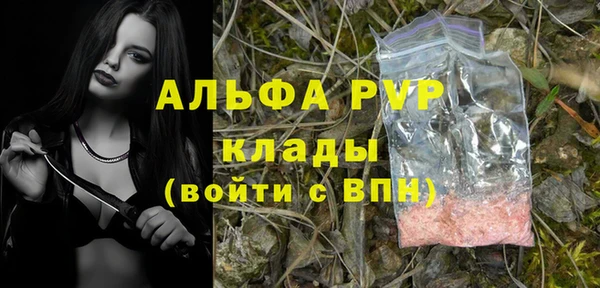 PSILOCYBIN Белоозёрский