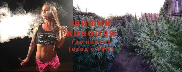 PSILOCYBIN Белоозёрский