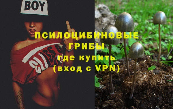 PSILOCYBIN Белоозёрский