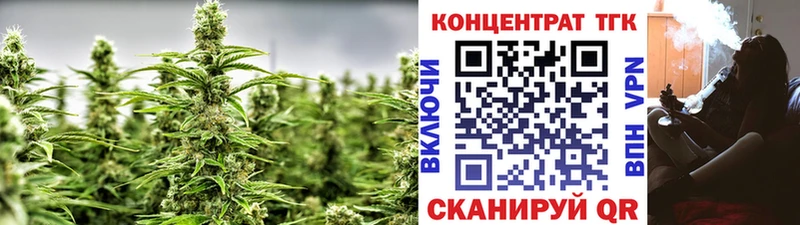 мега как зайти  Сясьстрой  ТГК THC oil  цены  