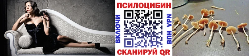 Галлюциногенные грибы Psilocybine cubensis  Сясьстрой 